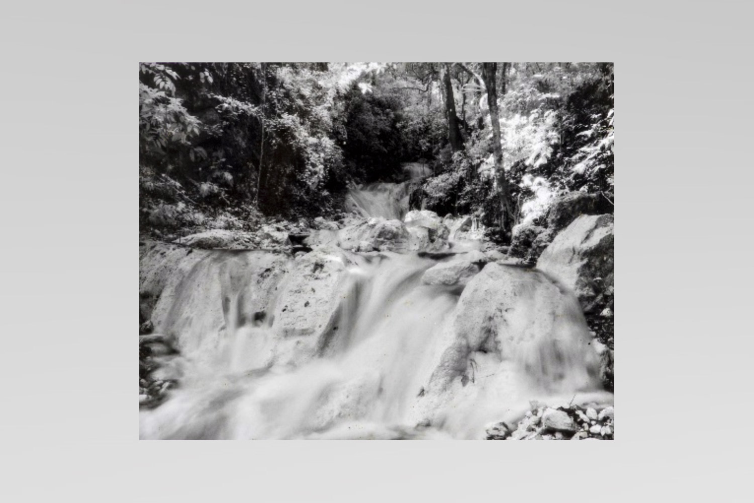 S/T (Cascada). - Domingo Batista