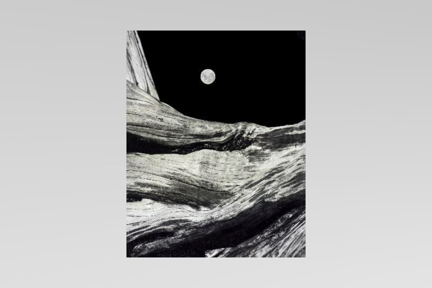 Tronco y luna. Serie Tiempo de Luz - Domingo Batista